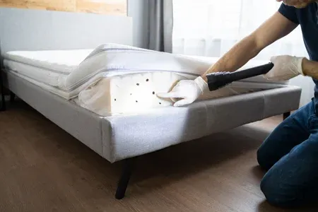 bed bug inspection