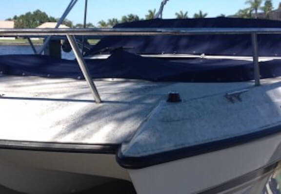 honeydew mold from whiteflys on boat